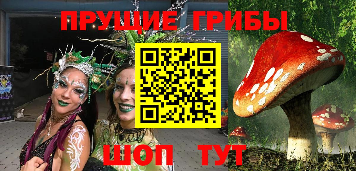 Псилоцибиновые грибы GOLDEN TEACHER  Вход с VPN  Советский 
